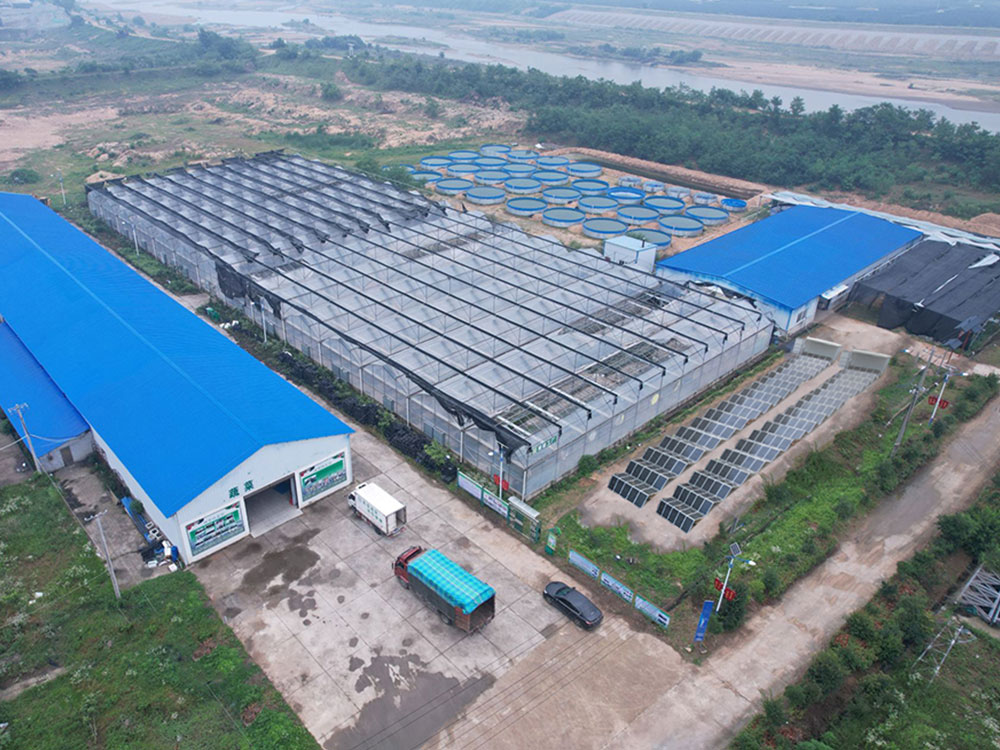 Solar Power Containers for منبع تغذیه خود ارائه شده